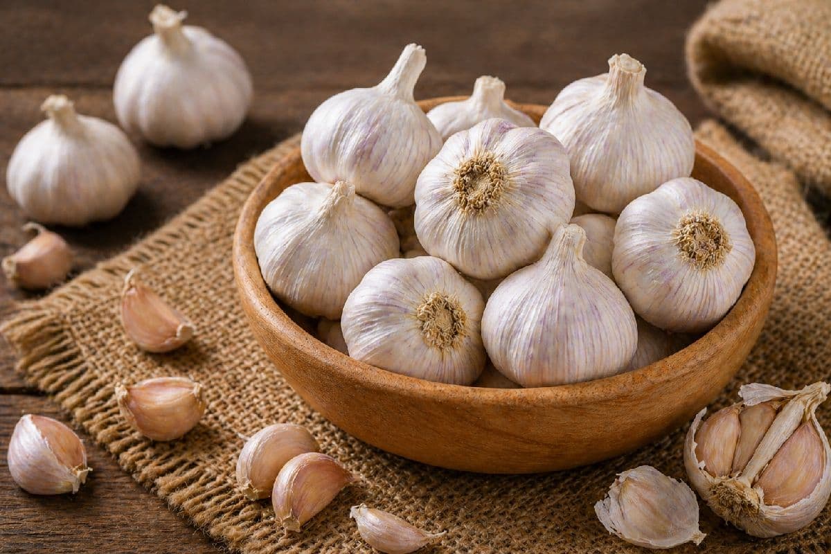 Garlic (রসুন)