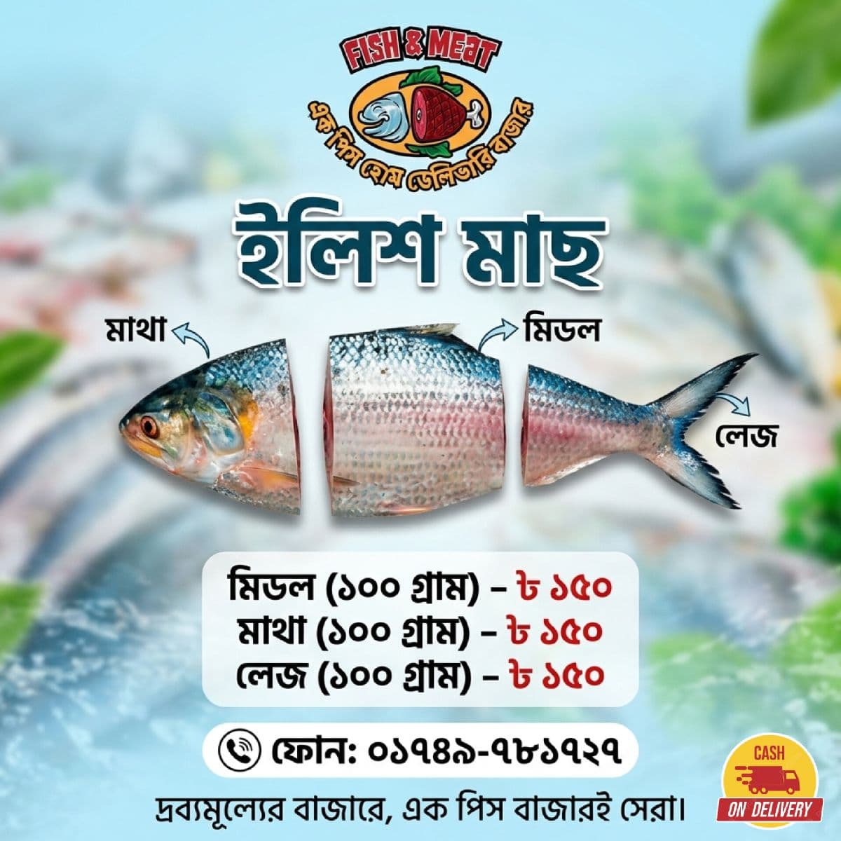 ইলিশ মাছ