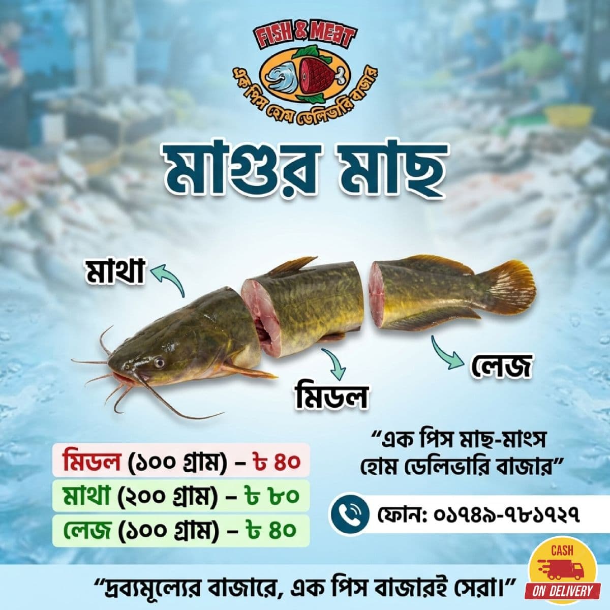 মাগুর মাছ