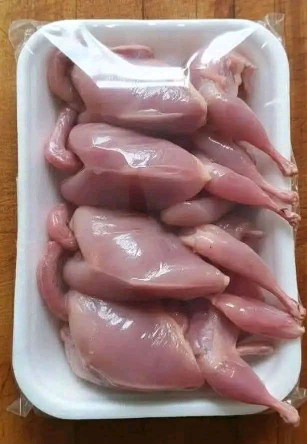 কোয়েলপাখির স্পেশাল প্যাকেজ
