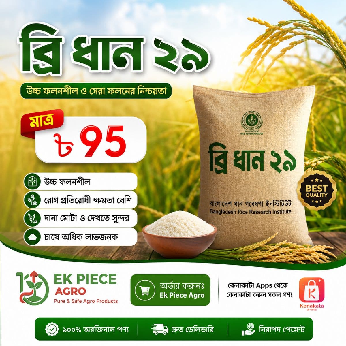 🌾বীজ ব্রি ধান ২৯ 🌾