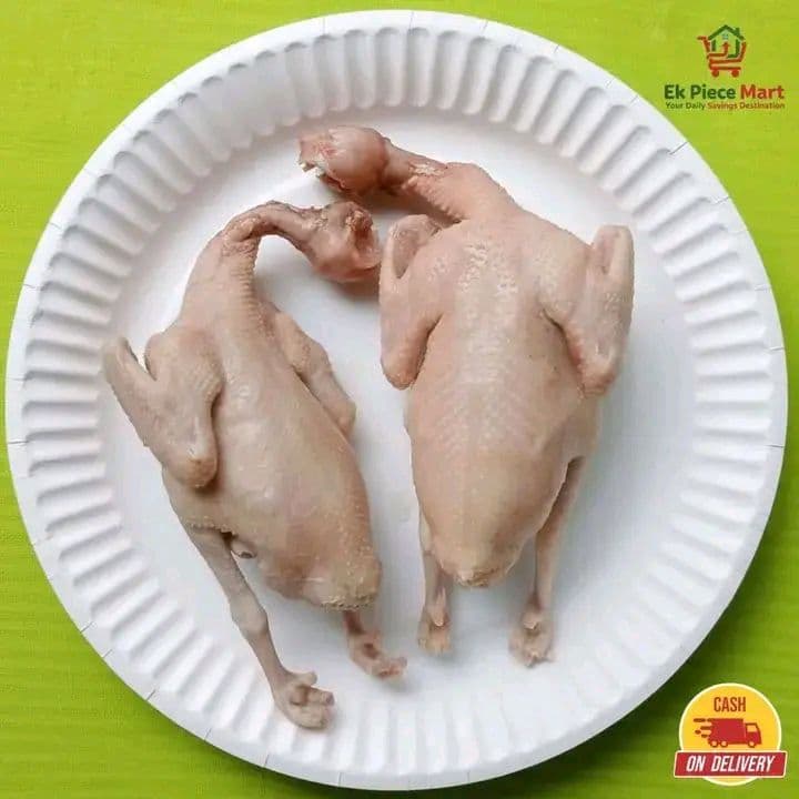 রেডি টুকু কবুতর
