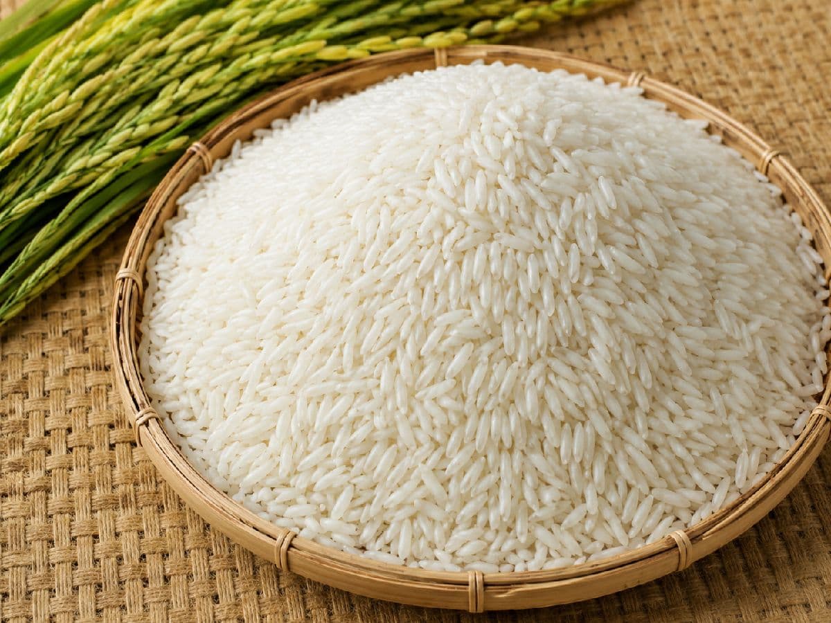 লতা চাল