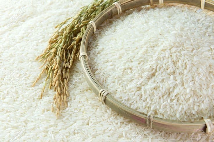 🌾 হাইব্রিড চাল