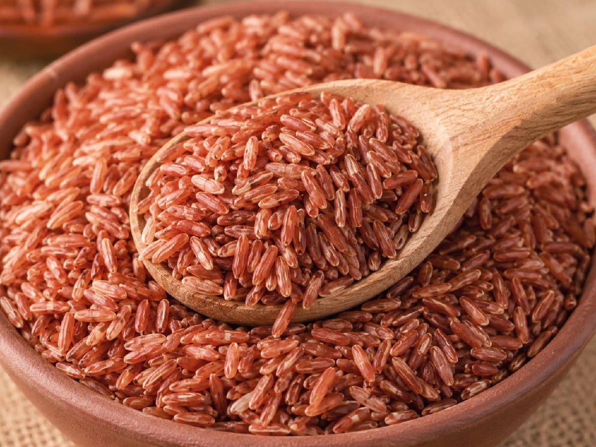🌾 লাল চাল (Red Rice)