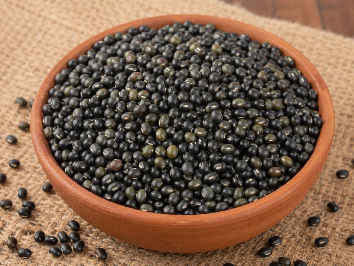 đŋ āĻŽāĻžāώāĻāϞāĻžāĻ āĻĄāĻžāϞ (Black Gram / Mashkalai Dal)