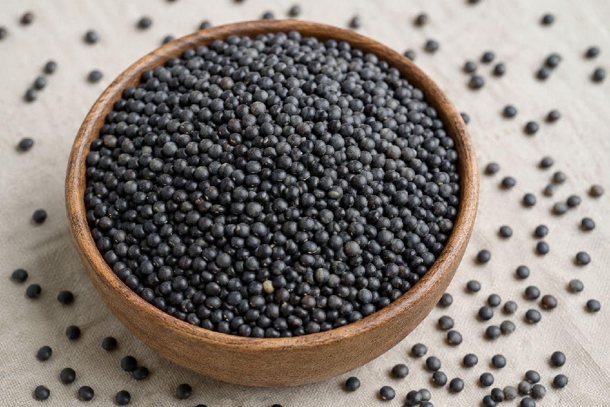 đĢ āĻāĻžāϞāĻžāĻ āĻĄāĻžāϞ (Black Gram Lentil / Mashkalai Dal)