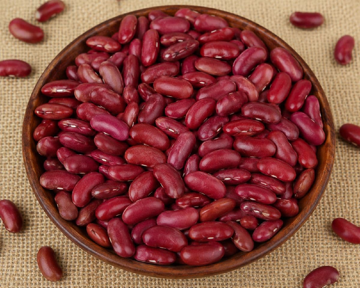 đĢ āϰāĻžāĻāĻŽāĻž āĻĄāĻžāϞ (Red Kidney Beans)