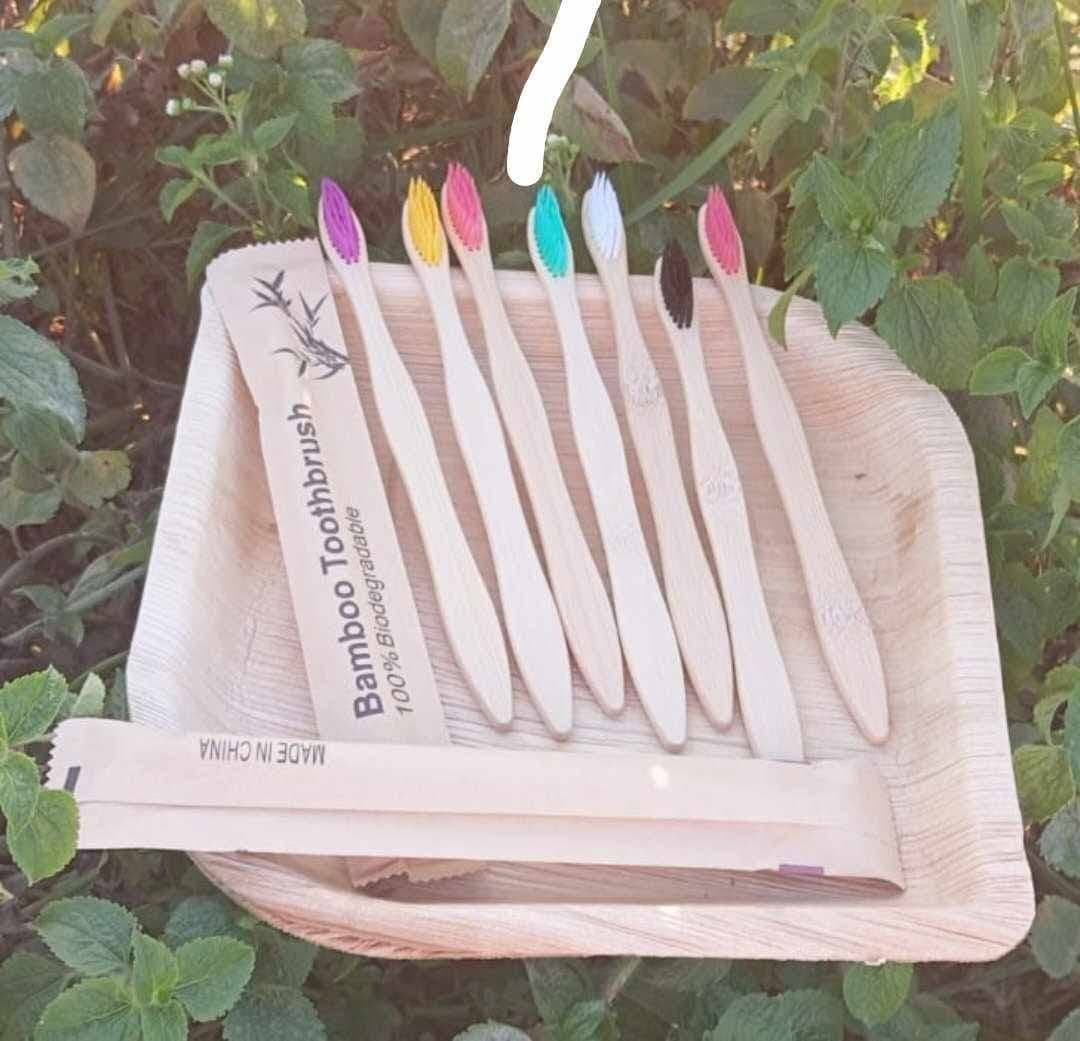 đŋ āĻŦāĻžāĻāĻļā§āϰ āĻā§āĻĨāĻŦā§āϰāĻžāĻļ (Bamboo Brush)