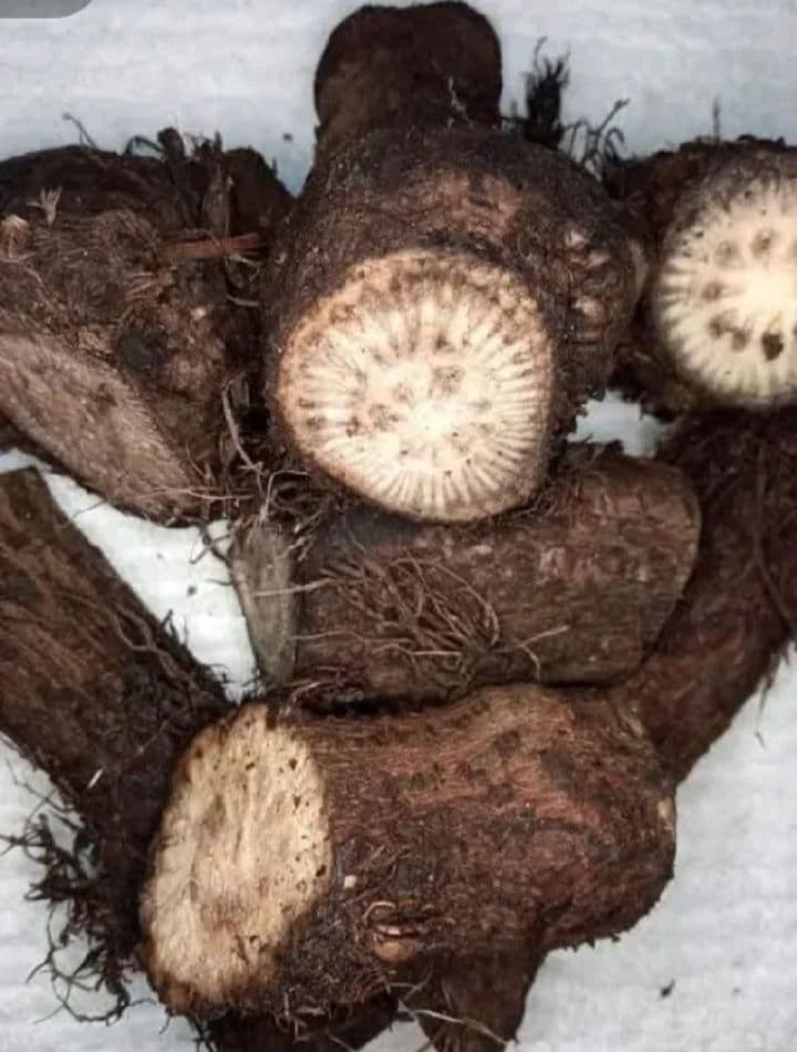খুলনার বিখ্যাত চুইঝাল
