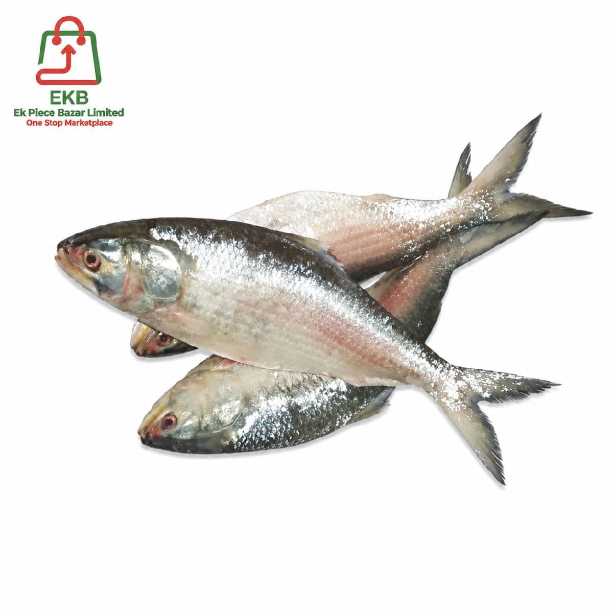 Hilsha Fresh Local Captured (400-499 gm)