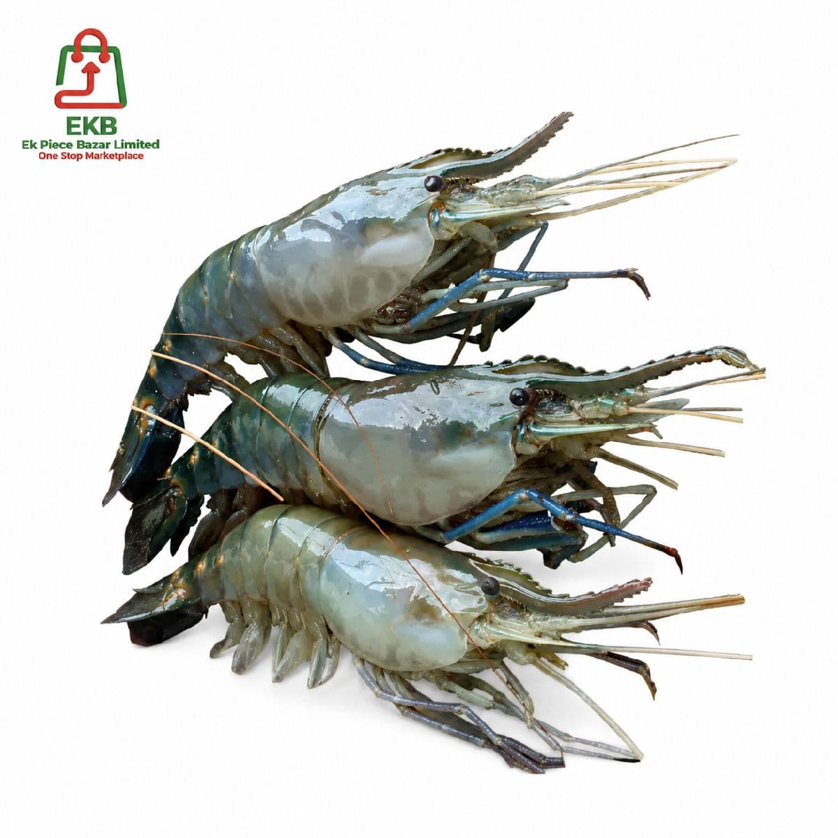 Golda Fresh Local Cultured (30-40 Pcs/kg)