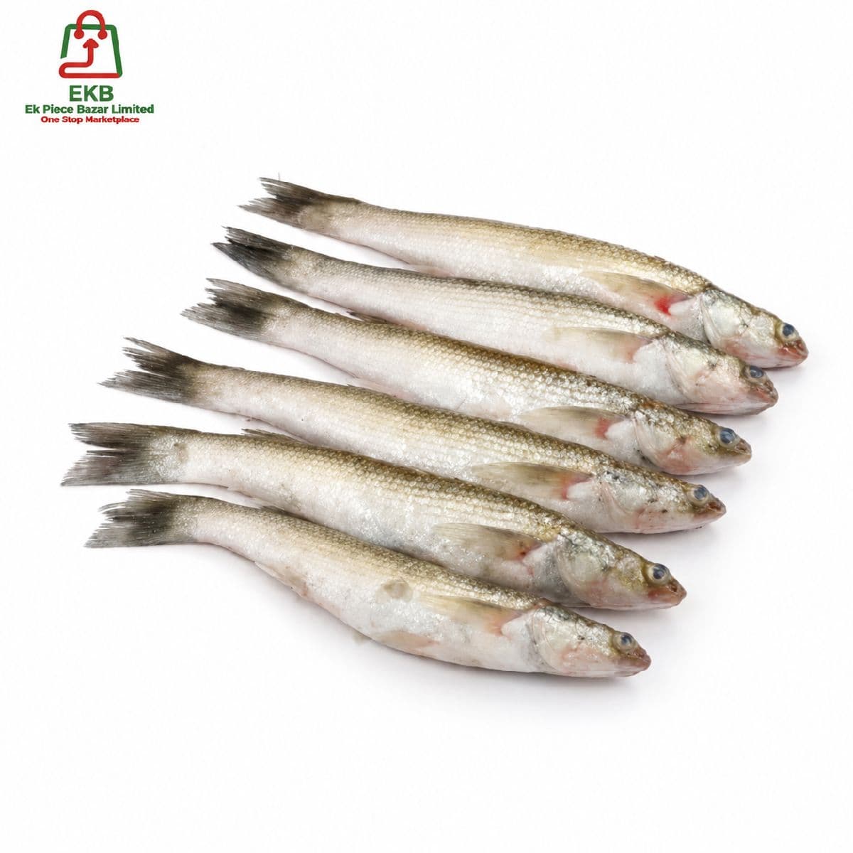 Bata Fresh Local Cultured (18-25 Pcs/kg)