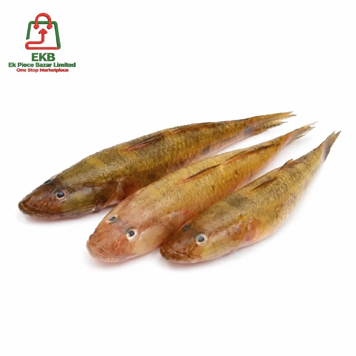 Baila Fresh Local Captured (10-15 Pcs/kg)