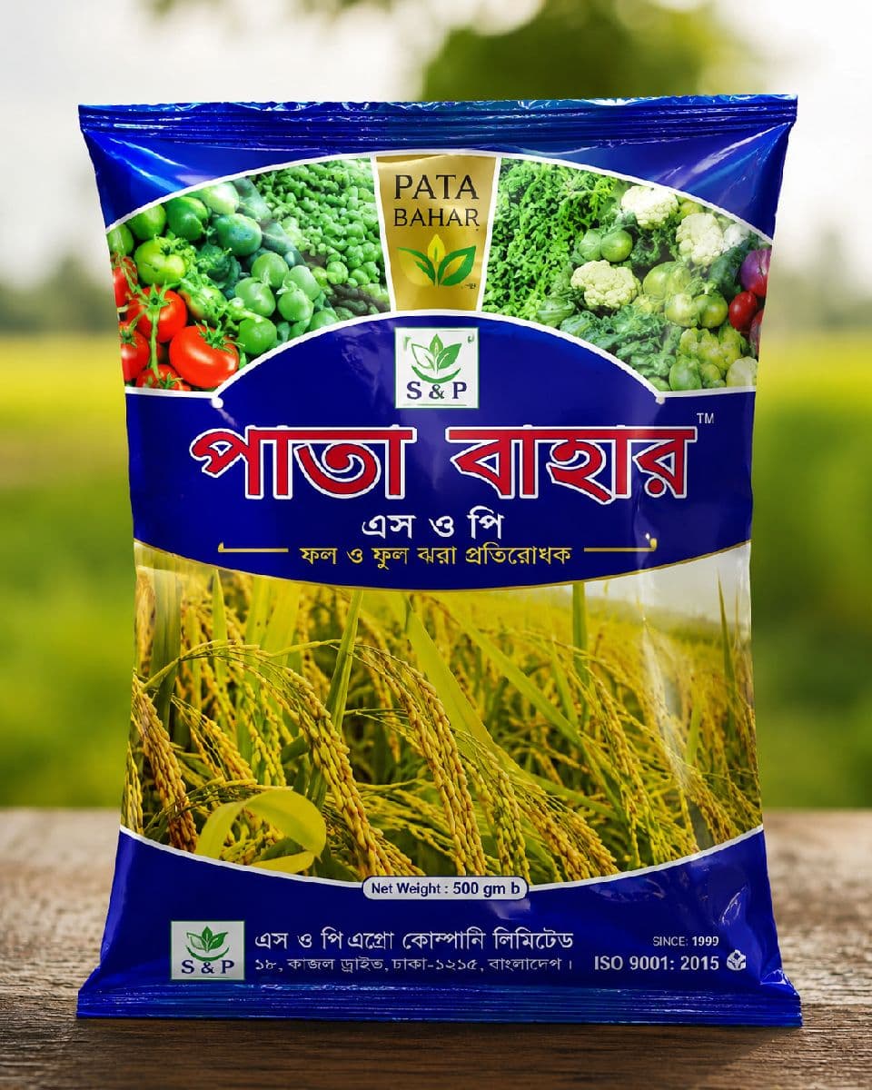 পাতা বাহার
