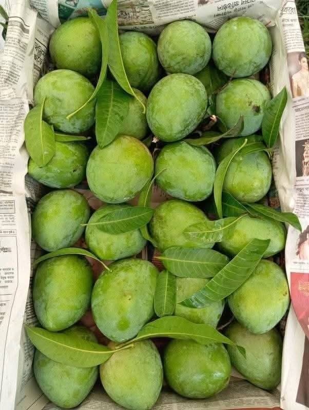 হাঁড়িভাঙ্গা আম
