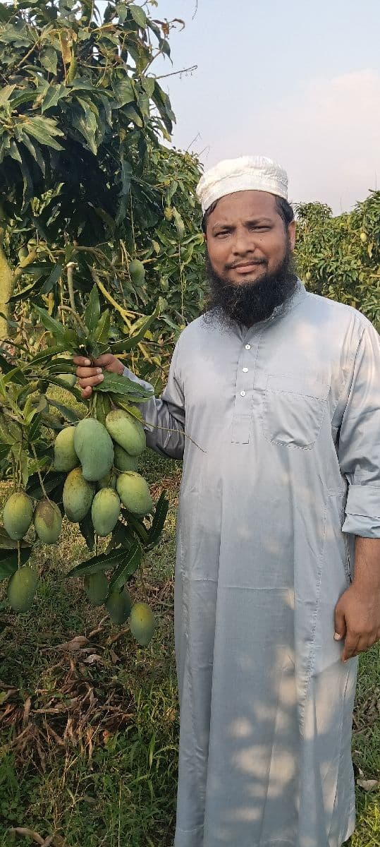 আম্রপালী আম