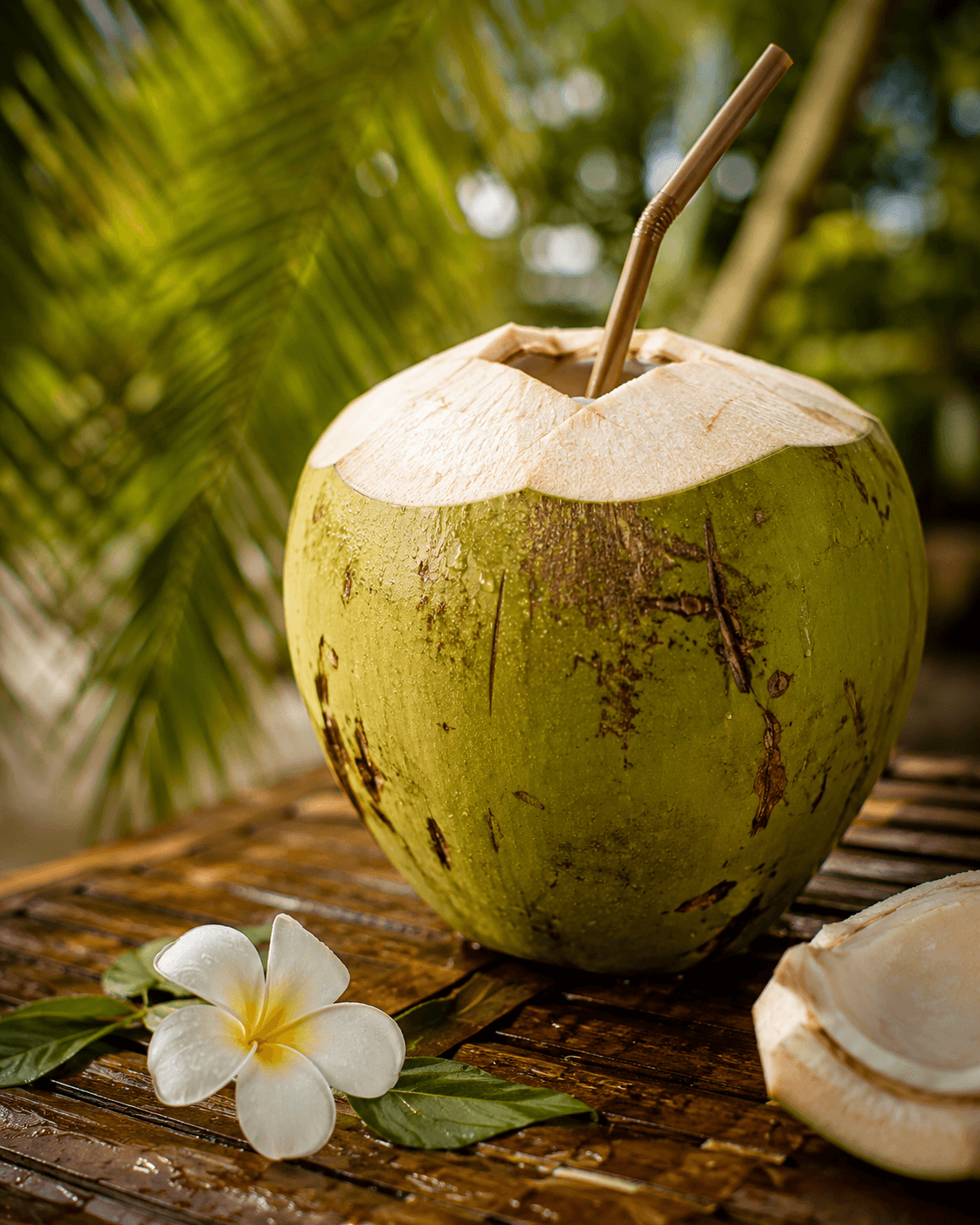 Coconut