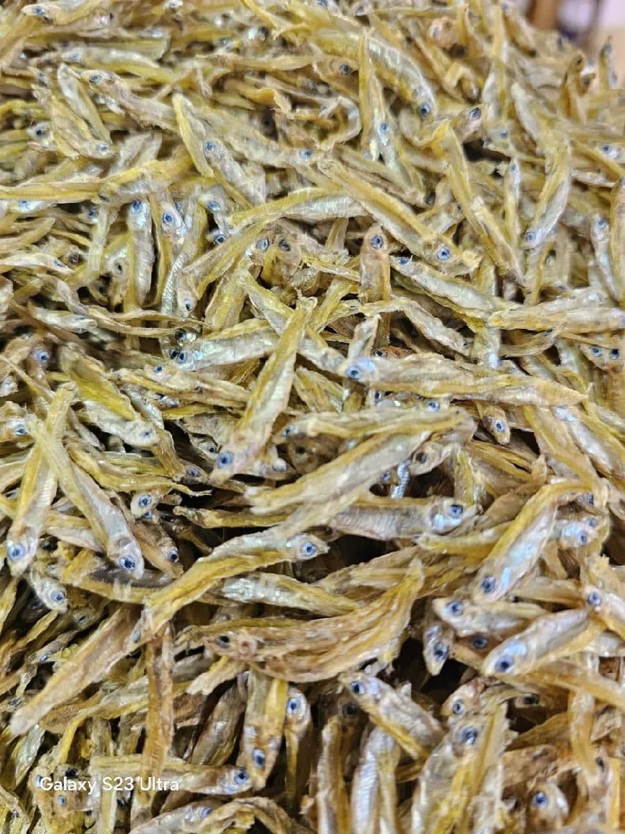কাঁচকি শুঁটকি বড় সাইজ