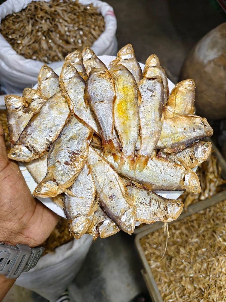 ফ্যাশা শুঁটকি