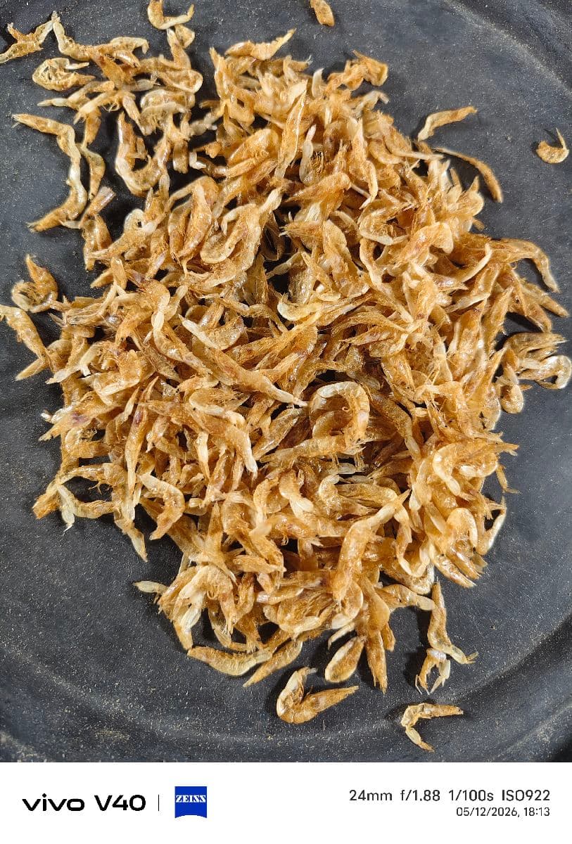 ছোট চিংড়ি শুটকি