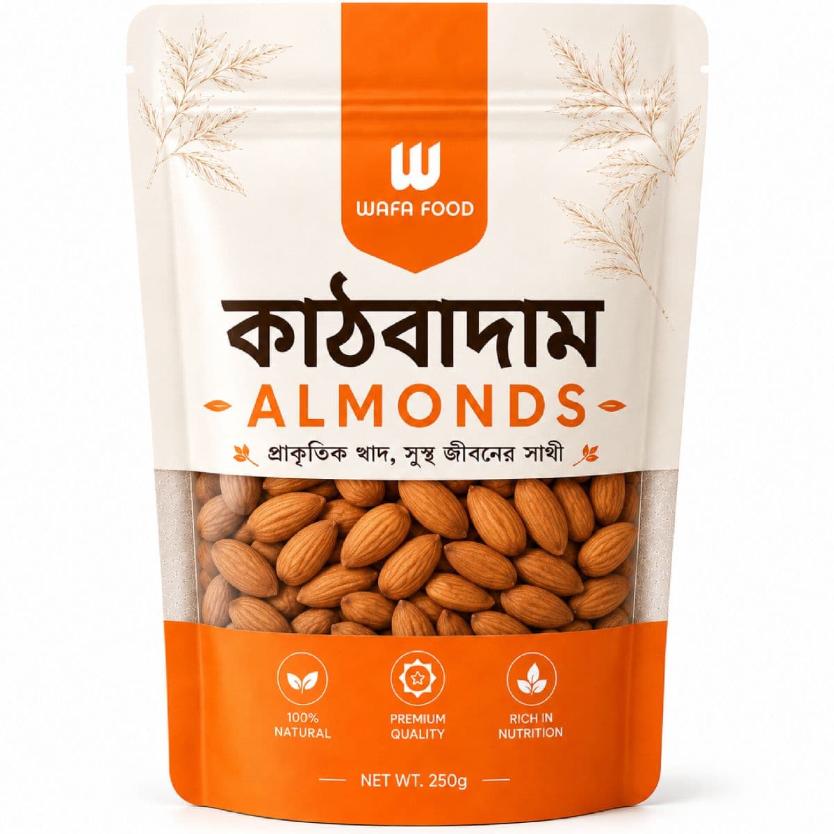 Almond Variant 1