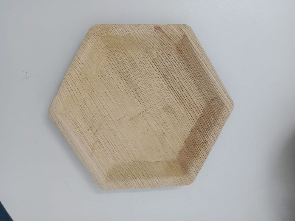 Lunch Tray — 10×6 Inch