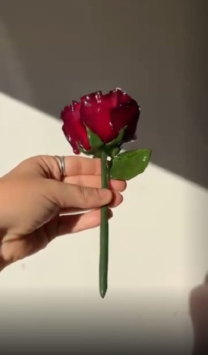 Real Flower hair stick