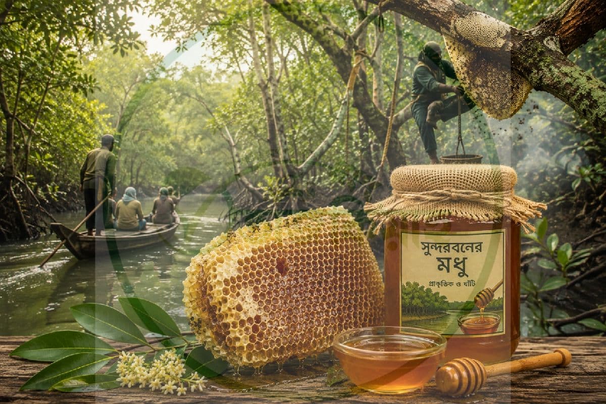 সুন্দরবনের মধু