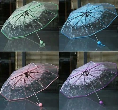 Transparent Umbrella