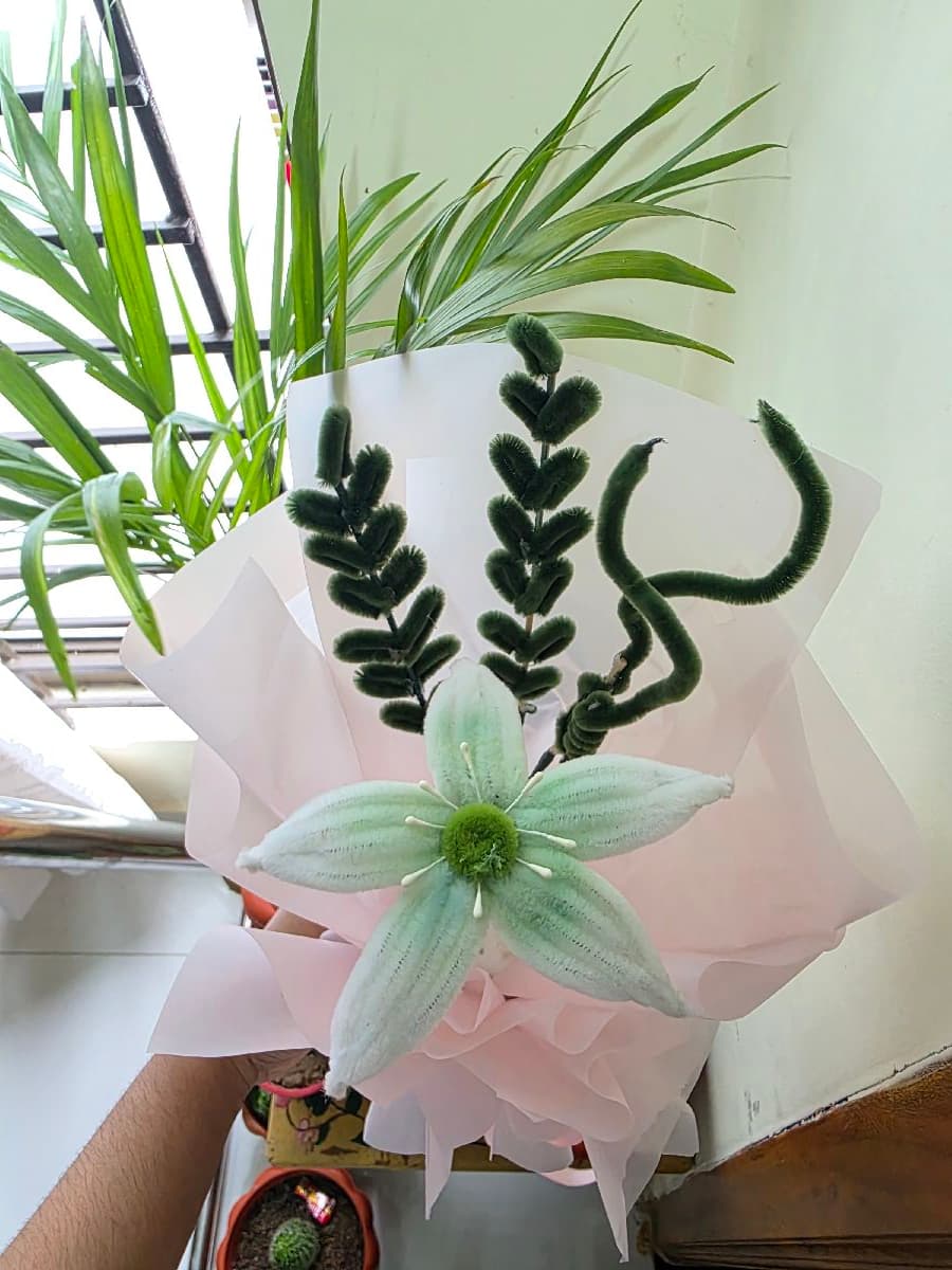 flower bouquet