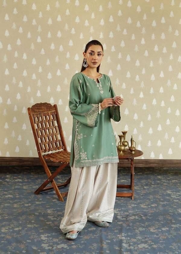 Pakistani inspired Farshi