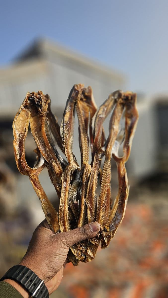 লইট্টা পেটকাটা শুঁটকি – বড় সাইজ