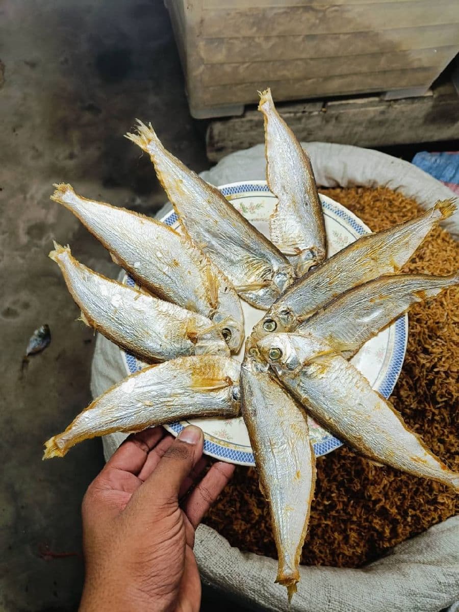 বাসপাতা শুঁটকি – বড় সাইজ