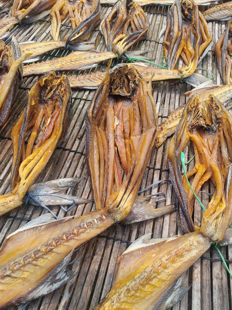 সুন্দরী শুঁটকি