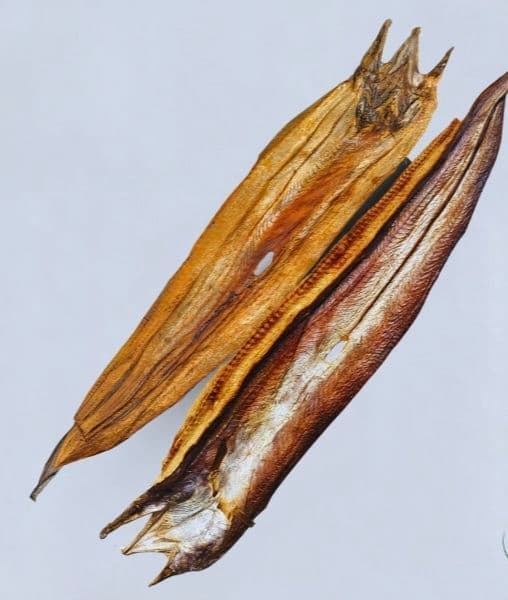 সামুদ্রিক বাইম শুঁটকি