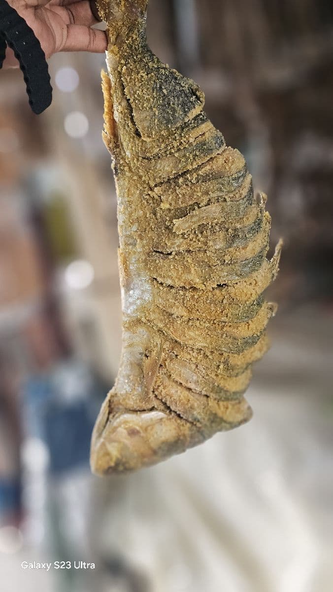 নোনা ইলিশ – বড় সাইজ