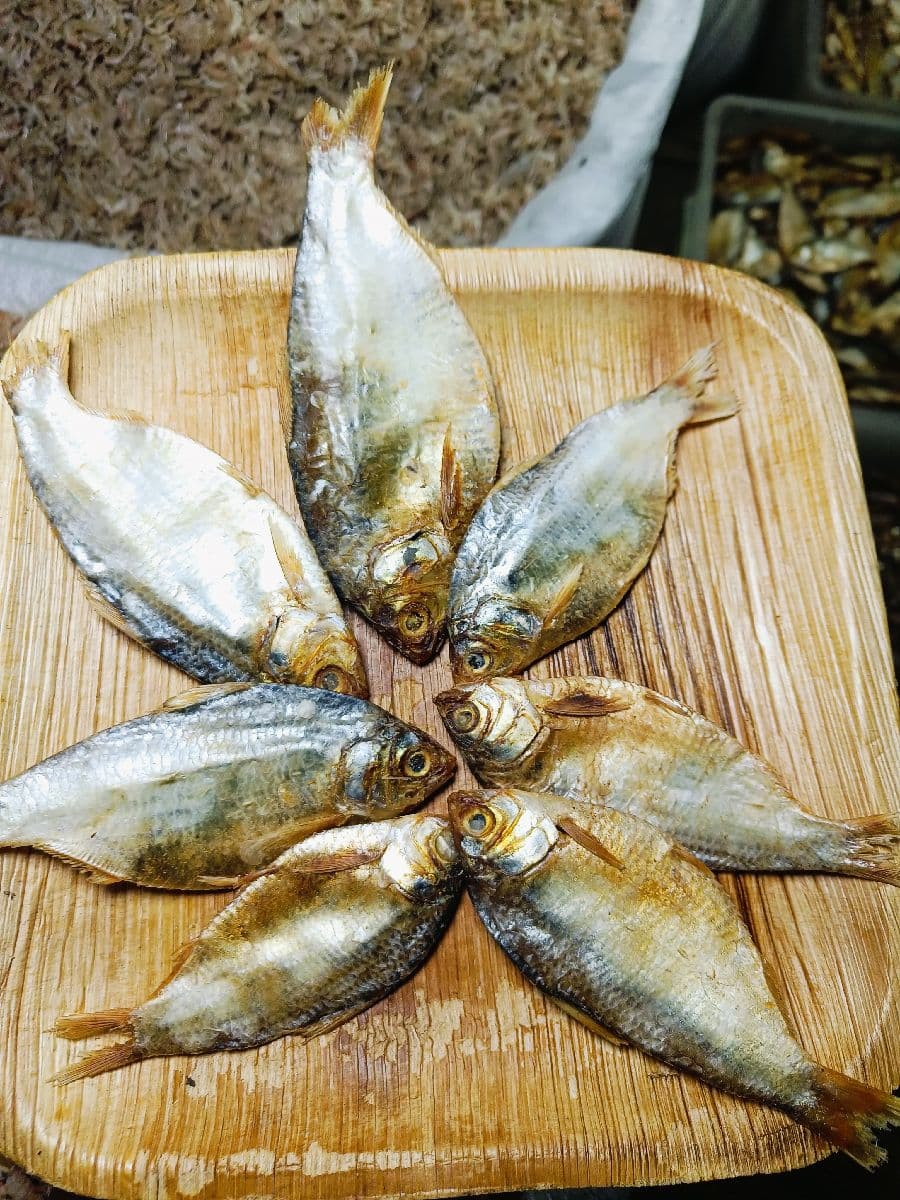 সিদল চ্যাপা