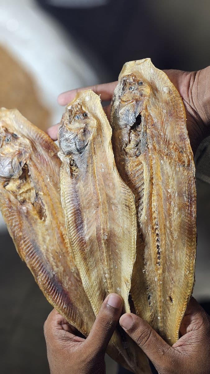 রিডা শুঁটকি