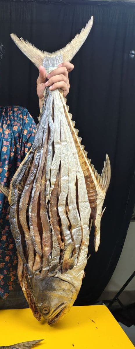 সুরমা শুঁটকি