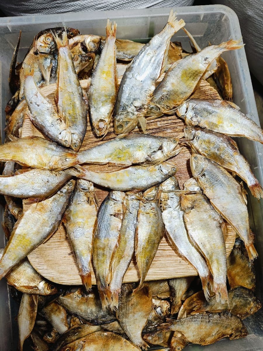 সামুদ্রিক বাসপাতা শুঁটকি – বড় সাইজ
